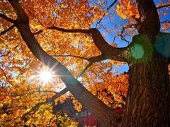 -香山公园-东宫门售票处