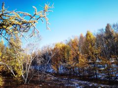 -塞罕坝国家级自然保护区