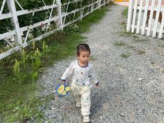 -前小桔亲子创意农场·草莓采摘·露营烧烤