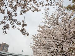 -南浦大桥长途旅游客运站