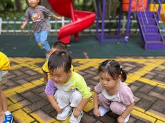 -金点蒙氏国际教育(悠然校区)