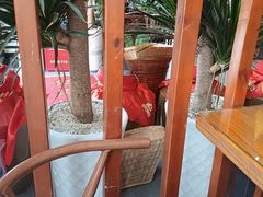 -白家寨子·山野白族菜(古城总店)