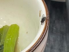 -鸽鸟轩(石岐店)