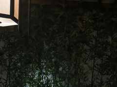 门面-乾园(天河城店)