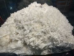 -河南自然博物馆
