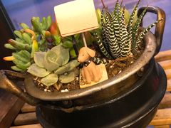 -郑阿姨的家·이모네·韩料&烤肉(武川路店)