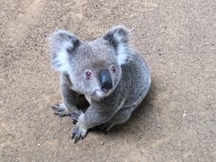 -可伦宾野生动物保护区