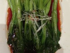 -石家庄万象天成假日酒店