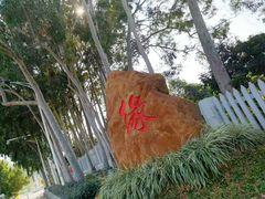 -光明农场大观园