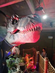 -恐龙探索乐园(磁器口店)