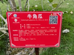 -广西壮族自治区药用植物园