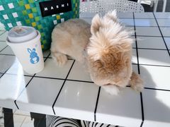 -小意思咖啡店(草桥店)