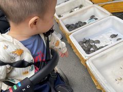 -哈尔滨道外花鸟鱼市场