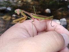 -碓臼峪自然风景区