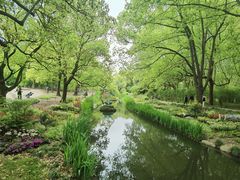 -上海共青森林公园