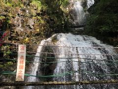 -藏龙百瀑风景区