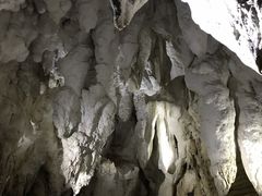 -怀托摩萤火虫洞