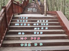 -天河潭旅游度假区