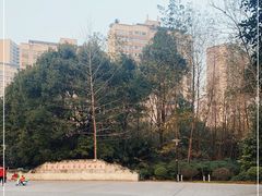 -重庆彩云湖湿地公园