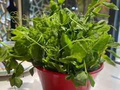 -蕃茄述·好汤自然来(江汉路店)