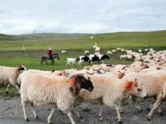 -青海湖国家重点风景名胜区