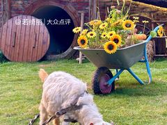 -HERRE·FARM 赫尔露营农场·团建聚会包场