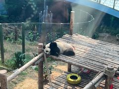 -大连森林动物园