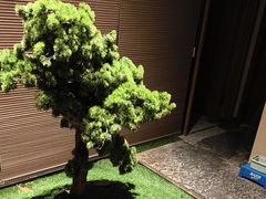 -码头鲜精致威海菜(欧乐坊店)