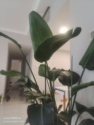 -Hi Skin皮肤管理中心