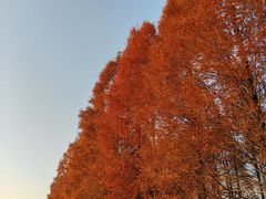 -钱塘江大桥