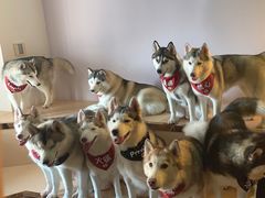 -Husky Go! 哈士奇体验馆·宠物咖啡厅狗咖