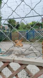 -萌宠亲子动物乐园(槐房万达店)