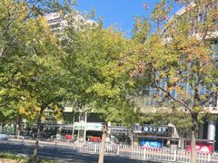 -食悦江南·淮扬菜·烤鸭(亚运村·惠新店)