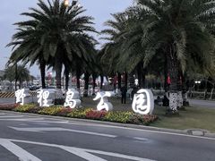 -野狸岛