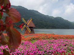 -广州市石门国家森林公园