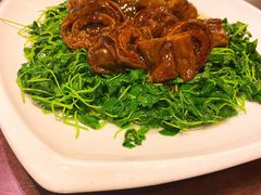 草头圈子-德兴馆(广东路总店)