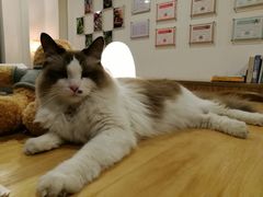 二貨-咖法森林·咖啡  酒吧(天河店)