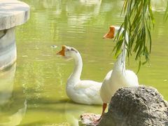-舜耕山庄四时万和自助餐厅