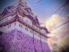 -名古屋城