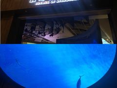 -贝林大翅鲸简餐厅(国家海洋博物馆店)