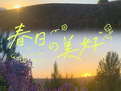 -达拉特旗响沙湾旅游区