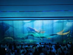 -海合安成都极地海洋公园