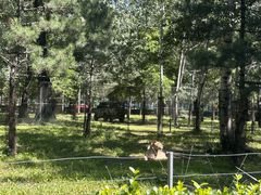 -秦皇岛野生动物园