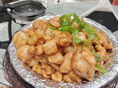 -丁老爷子苏香圆