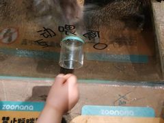 -zoonana室内动物园(东方福来德店)