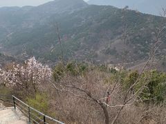 -香山公园