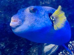 -太平洋海底世界