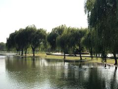 -东华大学(松江校区)