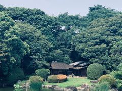 -东京国立博物馆
