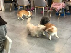 -七的湖·晚芳亭·阳澄湖农家菜·大闸蟹(莲花岛店)
